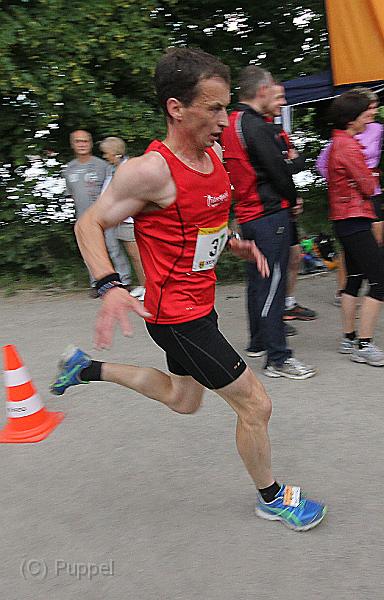 T-20140618-181412_IMG_0979-Fa aaa.jpg